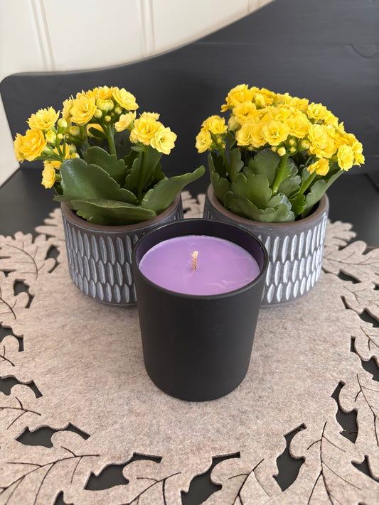 Lavendel - 20 cl